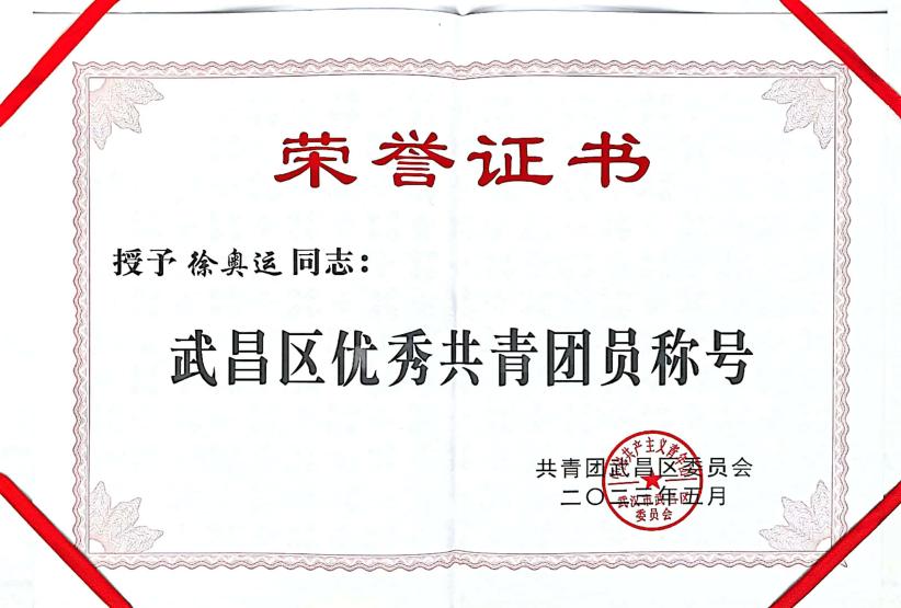 喜报！团武昌区委表彰我校四个先进集体和个人！