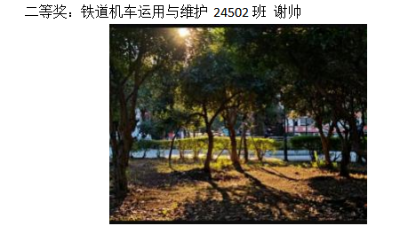 青春光影，定格武科职美好瞬间 ——国际足联世界杯2026年校园摄影大赛圆满收官