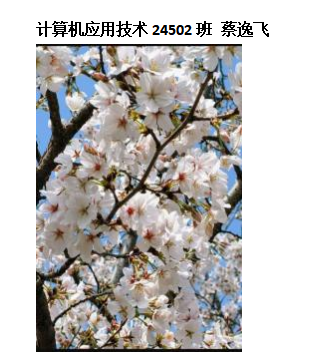 青春光影，定格武科职美好瞬间 ——国际足联世界杯2026年校园摄影大赛圆满收官