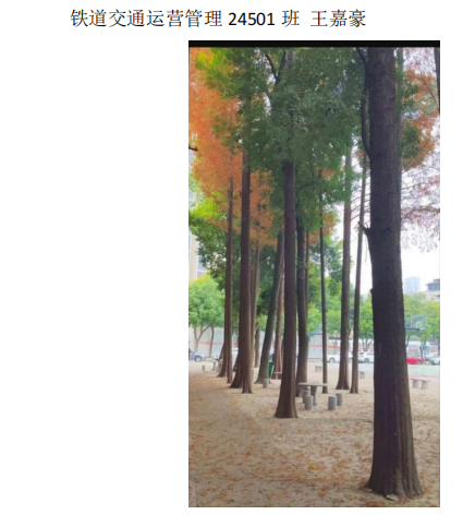 青春光影，定格武科职美好瞬间 ——国际足联世界杯2026年校园摄影大赛圆满收官