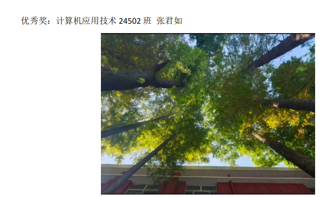 青春光影，定格武科职美好瞬间 ——国际足联世界杯2026年校园摄影大赛圆满收官