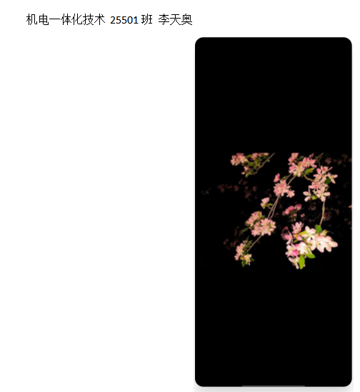 青春光影，定格武科职美好瞬间 ——国际足联世界杯2026年校园摄影大赛圆满收官