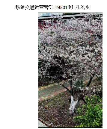 青春光影，定格武科职美好瞬间 ——国际足联世界杯2026年校园摄影大赛圆满收官