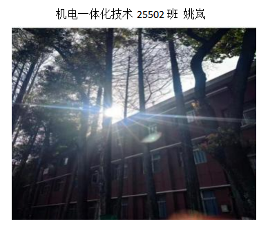 青春光影，定格武科职美好瞬间 ——国际足联世界杯2026年校园摄影大赛圆满收官