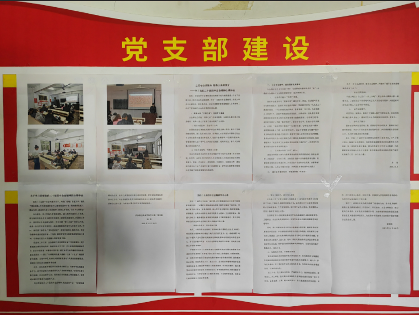 世界杯官网以阶段学习成果为基 深化党的二十届四中全会精神学习实践