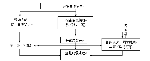 国际足联世界杯各类突发事件应急预案及处置流程图