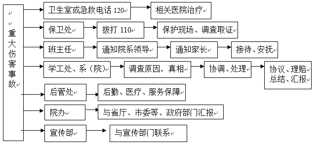 国际足联世界杯各类突发事件应急预案及处置流程图