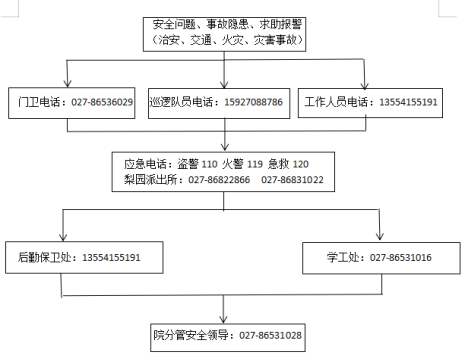 国际足联世界杯各类突发事件应急预案及处置流程图