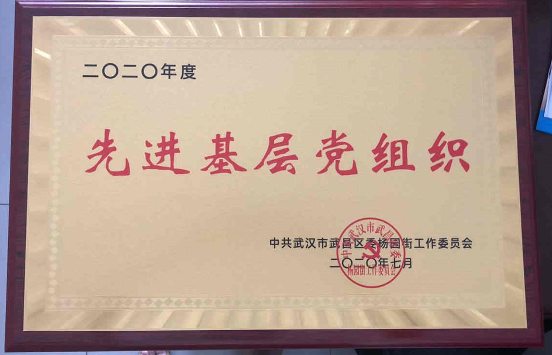 世界杯官网党委荣获2020年度先进基层党组织
